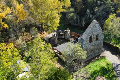20241120_Montealegre